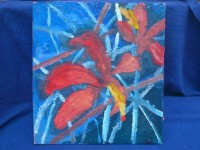 /album/fotogalerie/p1250213-jpg/